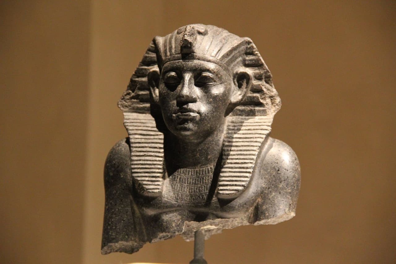 Neues Museum Ticket - სურათი 7