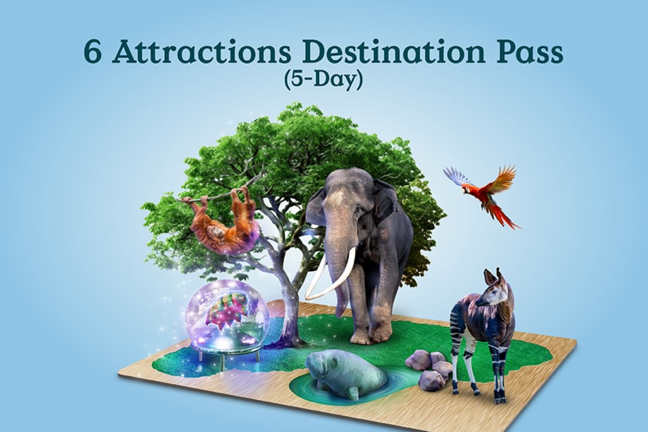 Mandai Destination Pass: Visit Up to 6 Attractions in 1 or 5 Days - სურათი 2