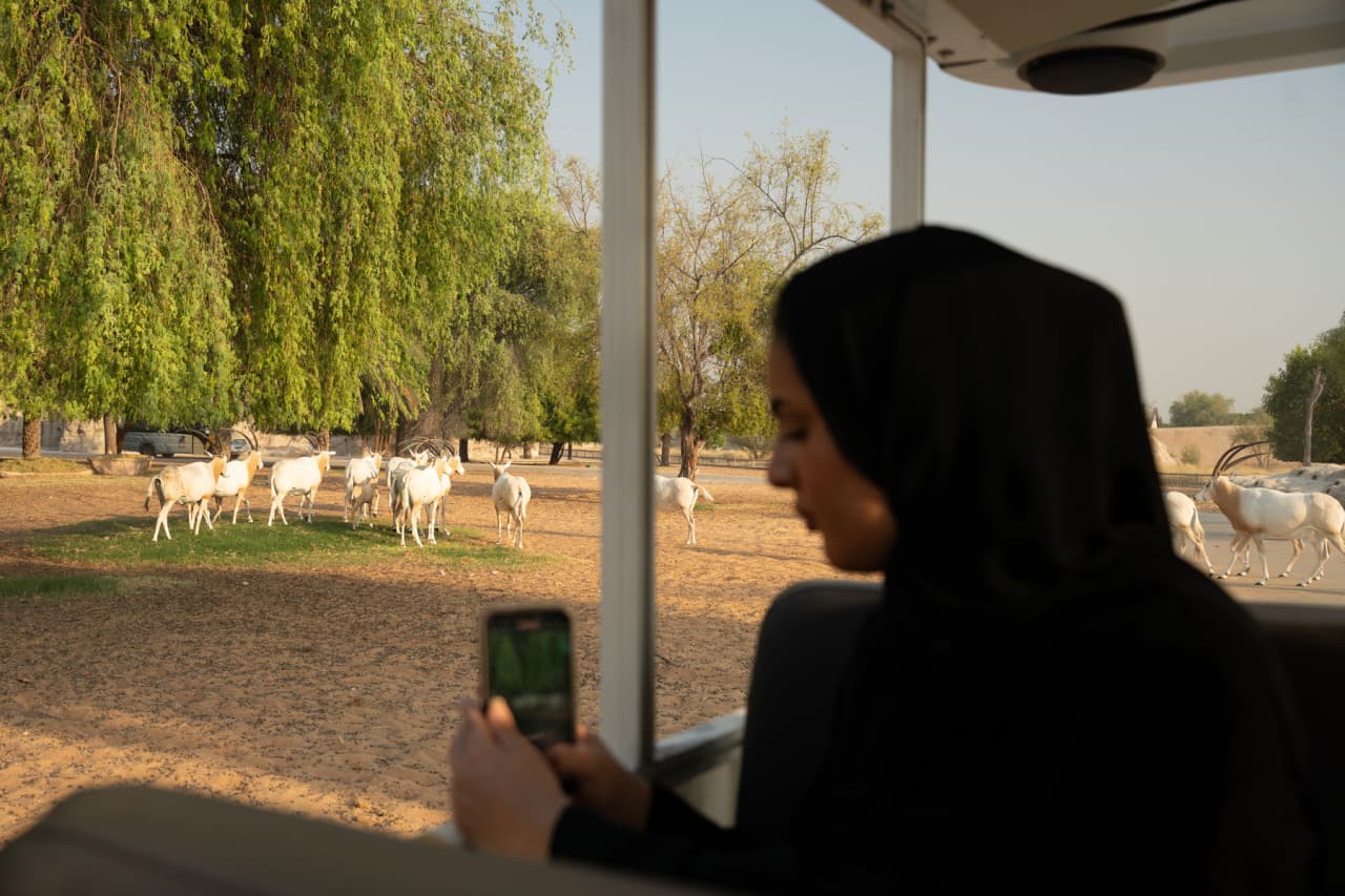 Dubai Safari Park Ticket - სურათი 27
