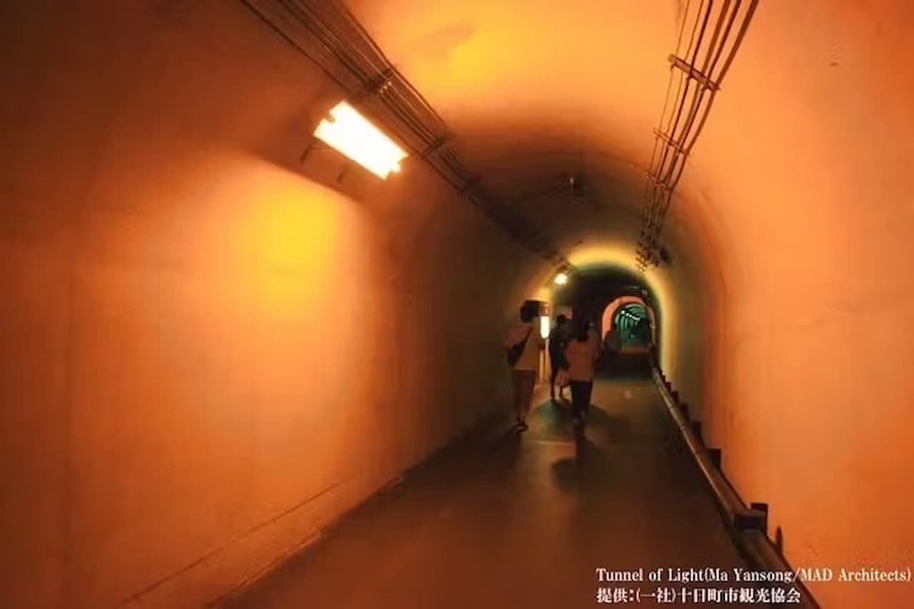 Kiyotsukyo Gorge Tunnel Ticket - სურათი 8