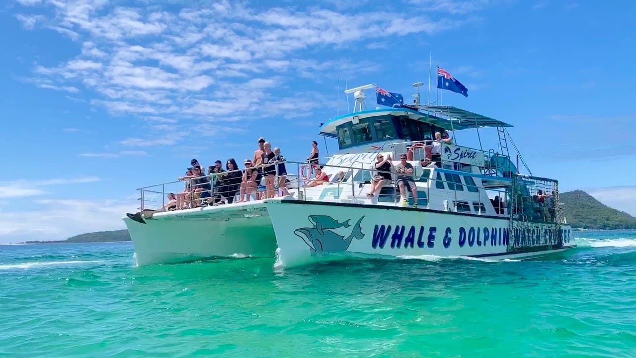 Port Stephens Dolphin Discovery Cruise - სურათი 3