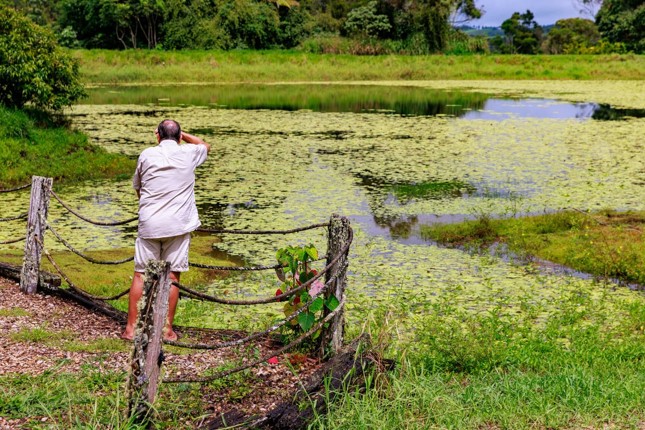 Australian Outback Food and Wine Tasting Tour from Cairns and Northern Beaches - სურათი 8