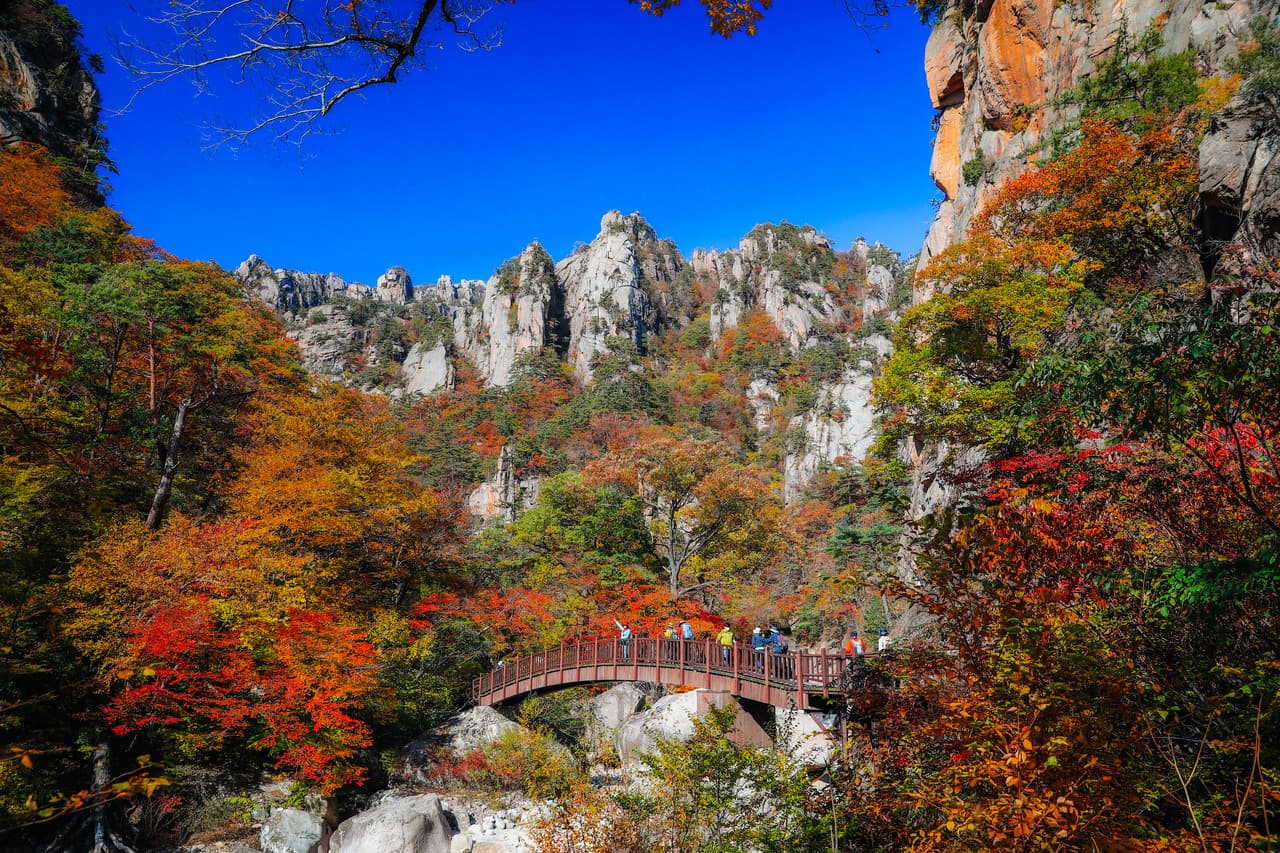 Mt. Seorak National Park Autumn Foliage One Day Tour from Seoul - სურათი 4