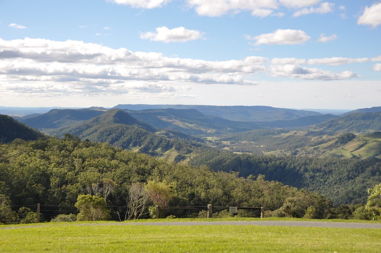 Lamington National Park Tour: O'Reilly's Rainforest Retreat and Canungra Valley Vineyard - სურათი 3