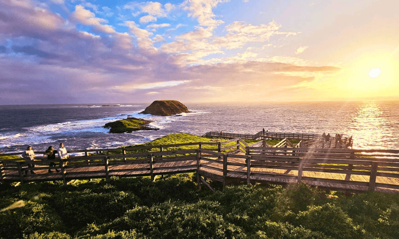 Penguins Express Tour from Melbourne - სურათი 8