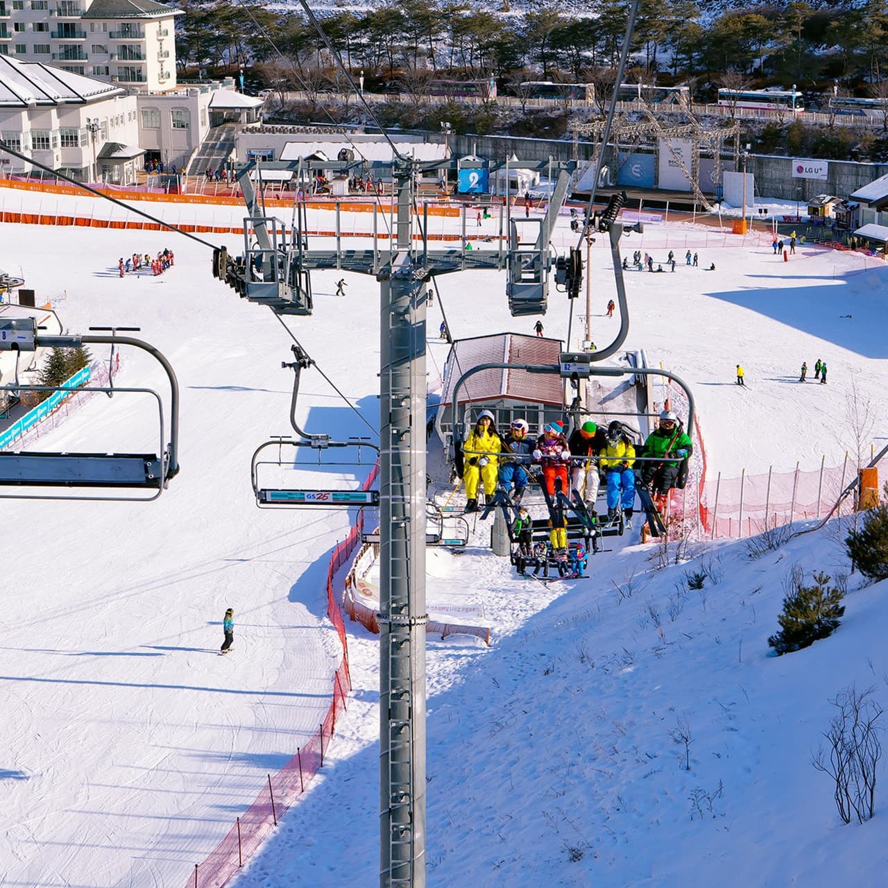 Elysian Gangchon Ski Resort and Nami Island Full-Day Tour from Seoul - სურათი 14
