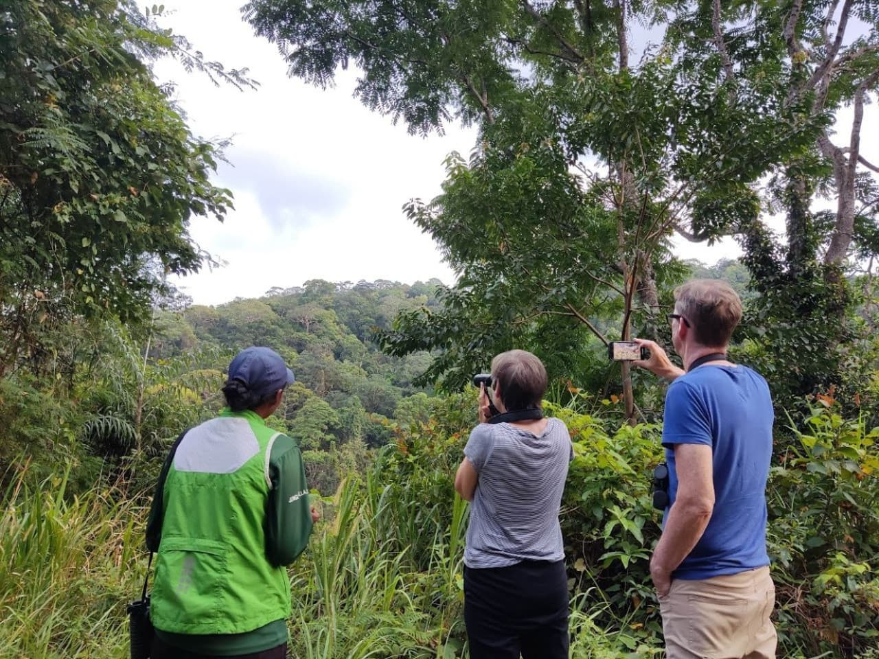 Langkawi Birdwatching Experience Tour - Half Day - სურათი 5