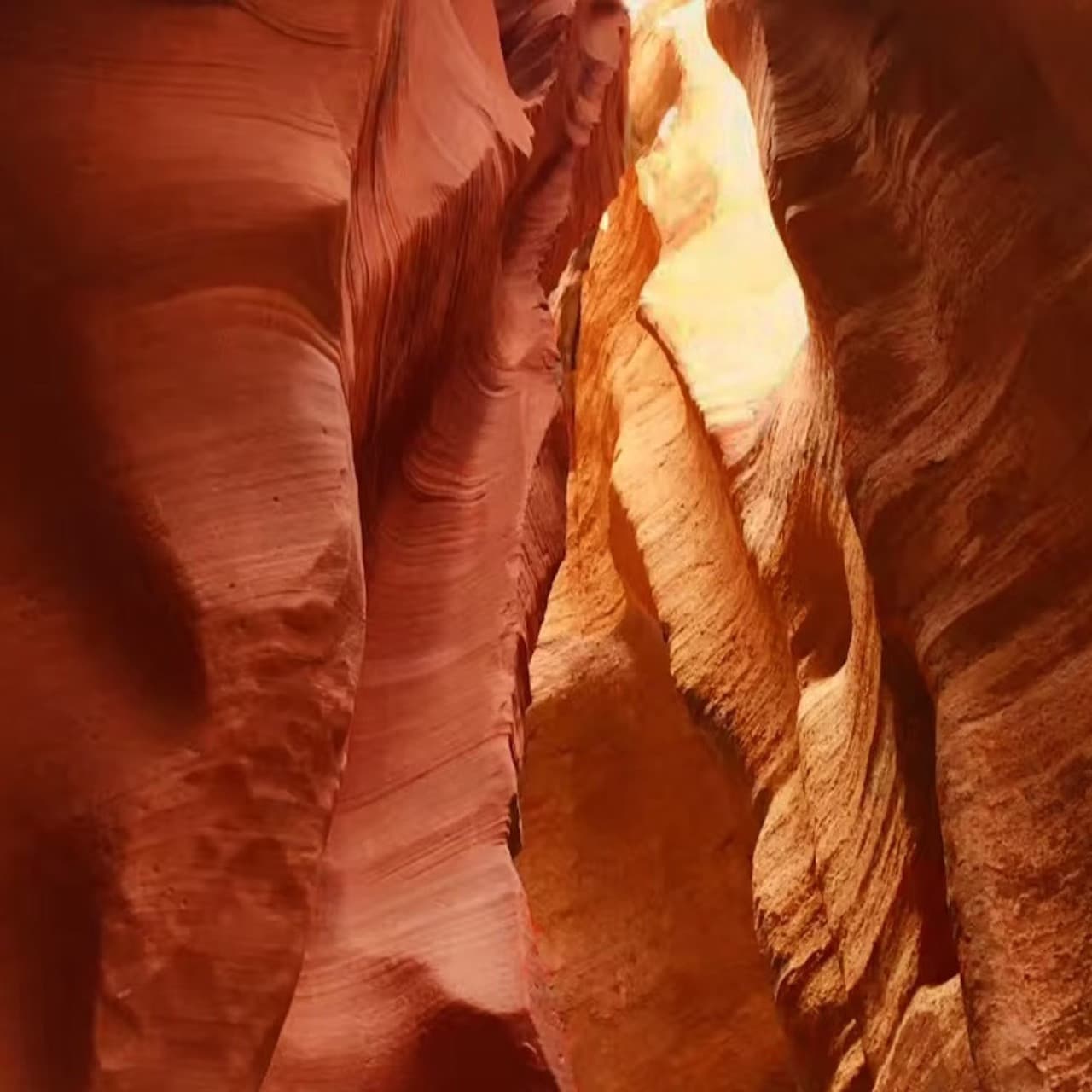 Antelope Canyon X and Horseshoe Bend Tour from Las Vegas - სურათი 5