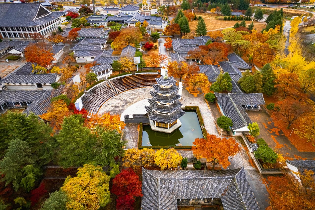 Gyeongju Autumn Foliage One Day Tour from Busan - სურათი 4