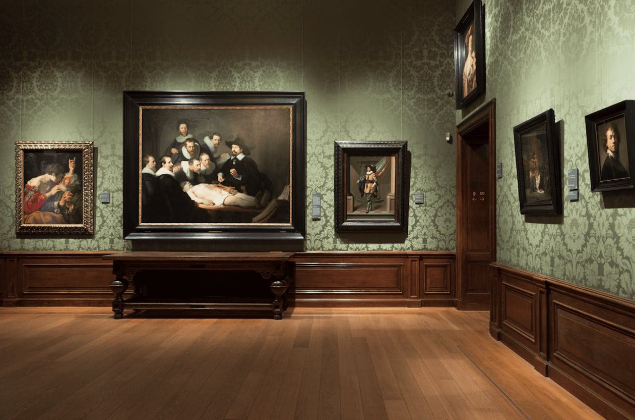 The Mauritshuis Museum Ticket - სურათი 5