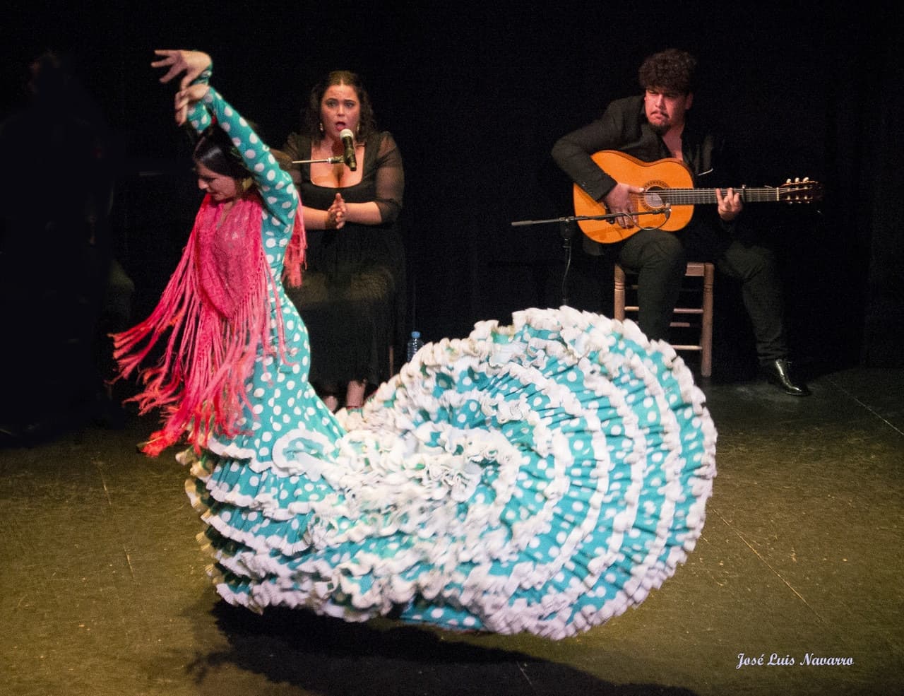 Flamenco Show at Triana Theater - მთავარი სურათი