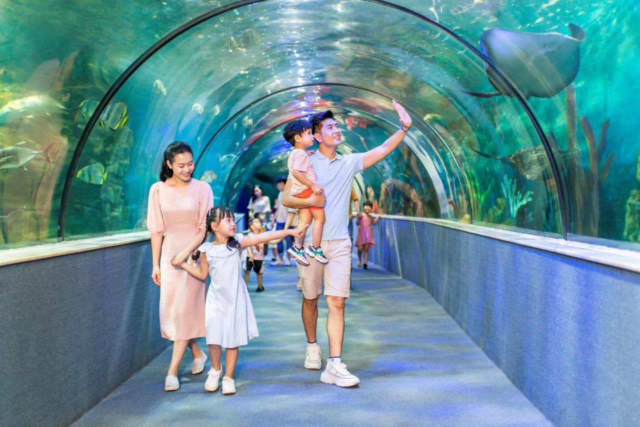 Vinpearl Aquarium Times City Hanoi Ticket - სურათი 4