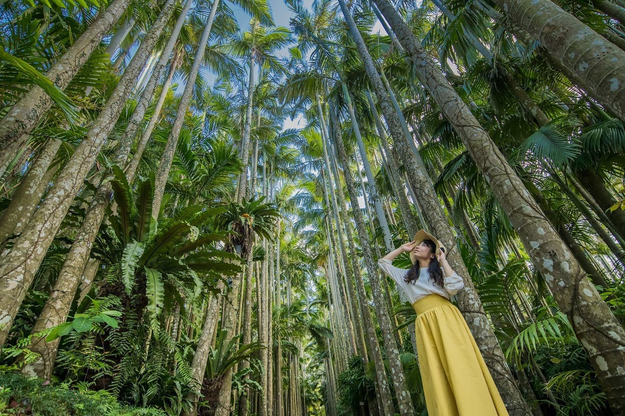 Okinawa Southeast Botanical Gardens - მთავარი სურათი