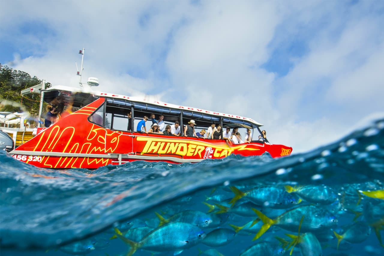 Thundercat Catamaran Whitsundays Islands Tour - მთავარი სურათი