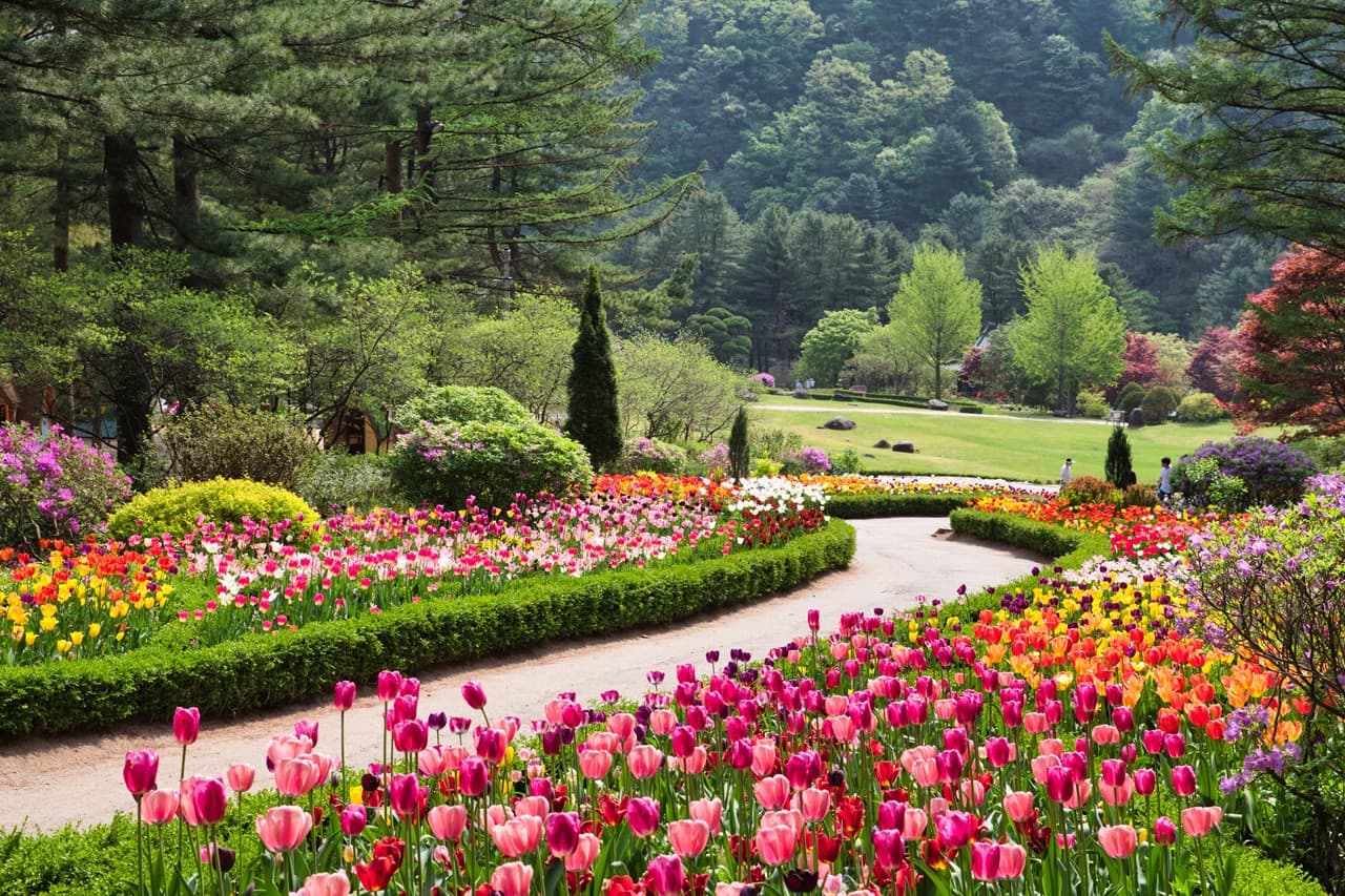 Nami Island, Mount Seorak, and Garden of Morning Calm Full-Day Tour from Seoul - სურათი 30