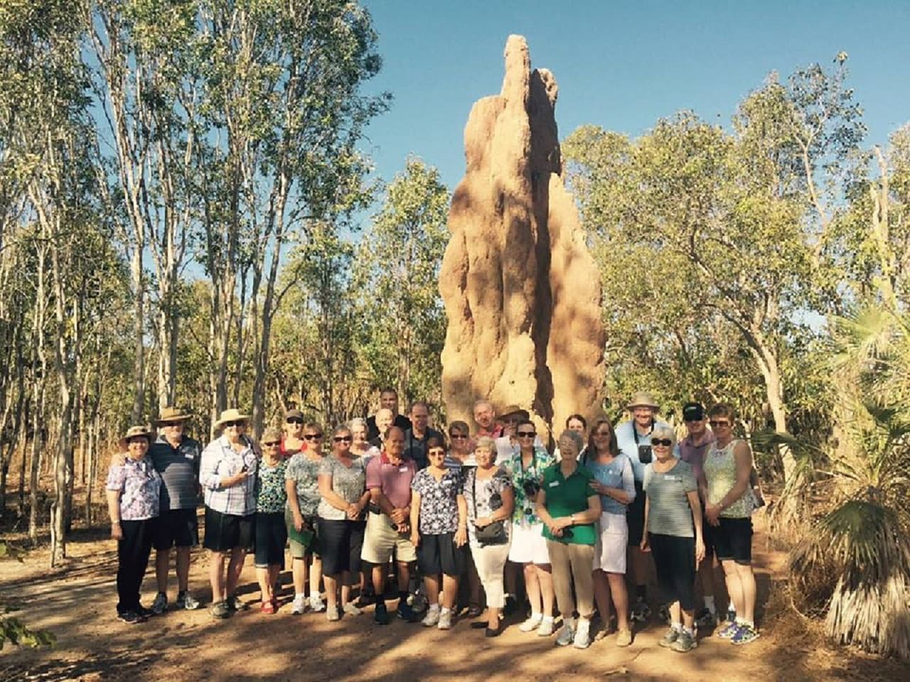 Litchfield National Park and Waterfalls Tour from Darwin - სურათი 8