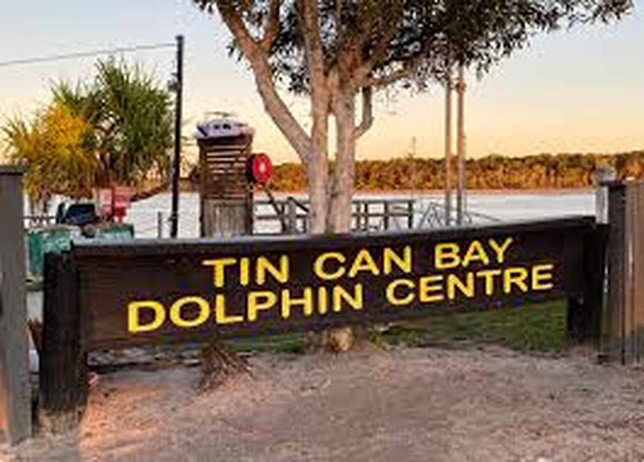 Dolphin Feeding Experience at Tin Can Bay from Rainbow Beach - სურათი 2
