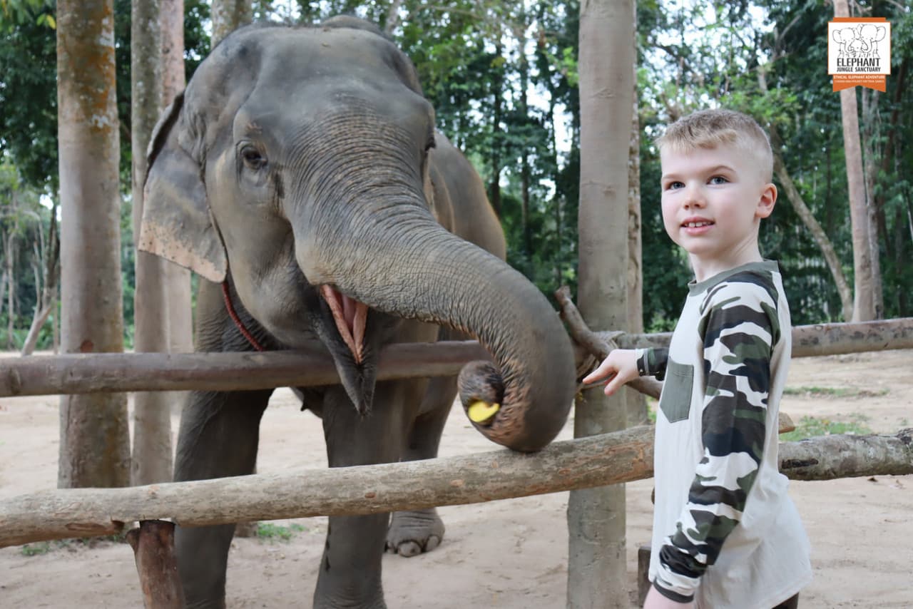 Elephant Jungle Sanctuary Koh Samui - სურათი 5