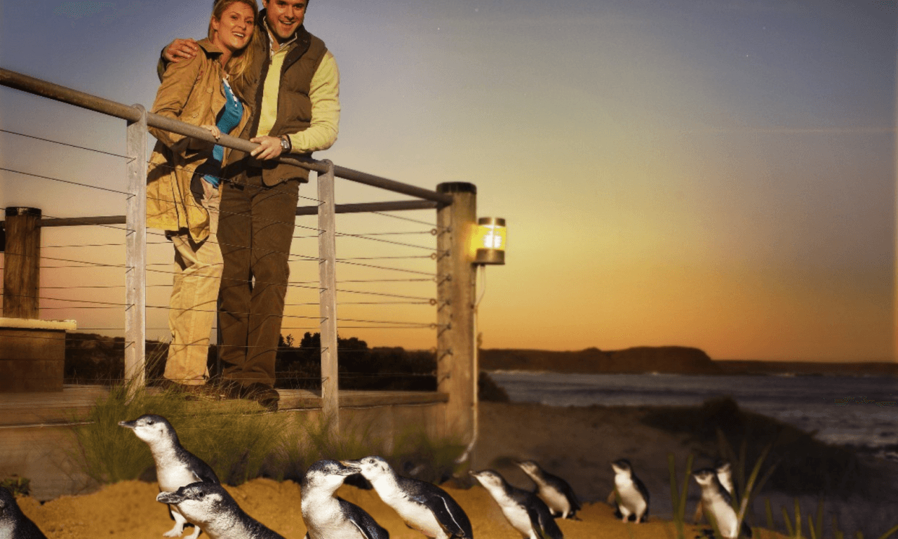 Penguins Express Tour from Melbourne - სურათი 14