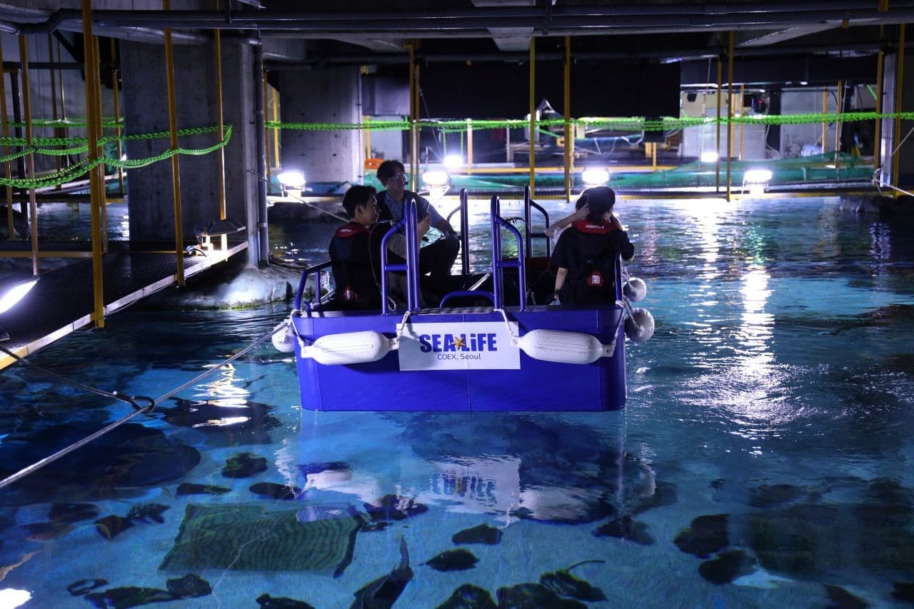 SEA LIFE COEX, Seoul Aquarium Ticket - სურათი 18