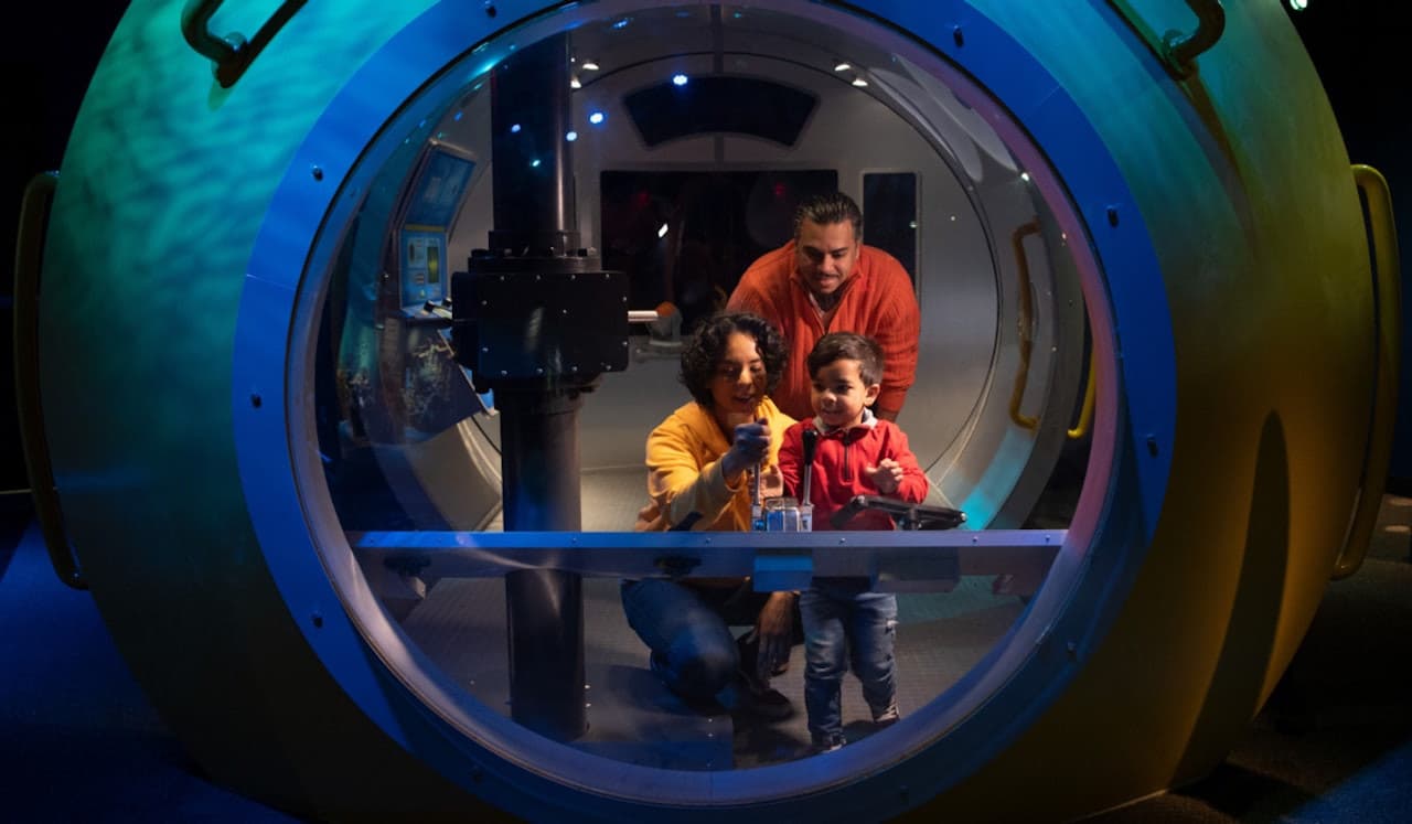 New York Aquarium - მთავარი სურათი