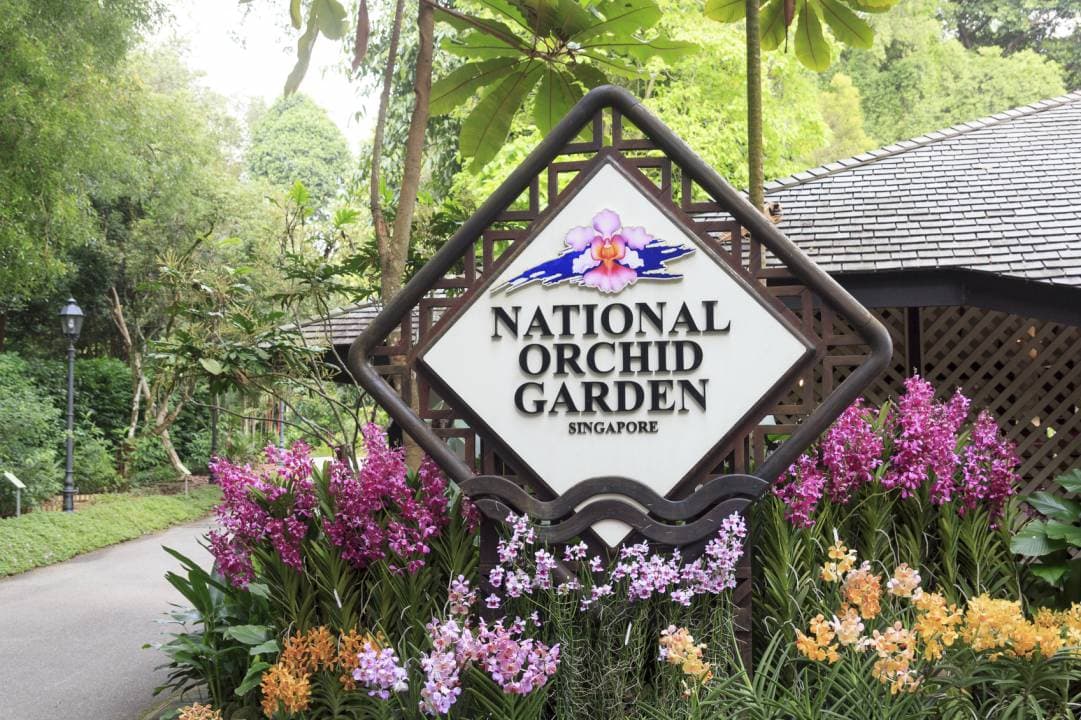 National Orchid Garden Ticket - მთავარი სურათი