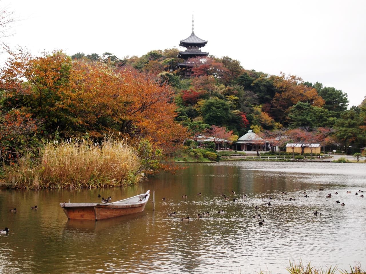 Sankeien Garden Ticket - სურათი 6