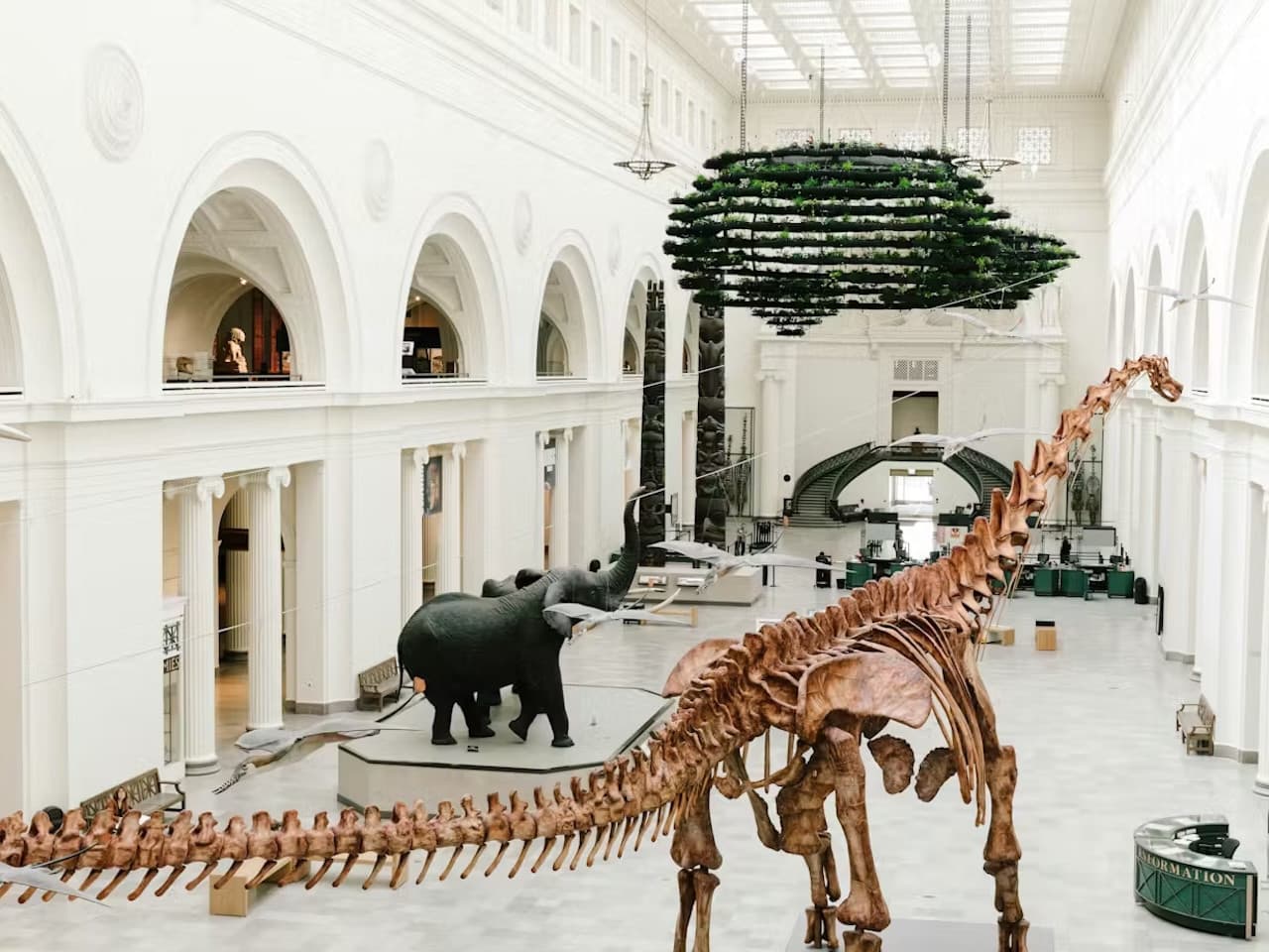 The Field Museum of Natural History Ticket - სურათი 6