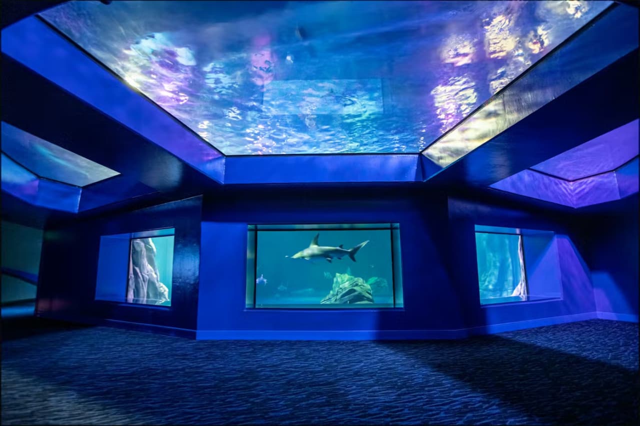 Georgia Aquarium: Fast Track Ticket - სურათი 11
