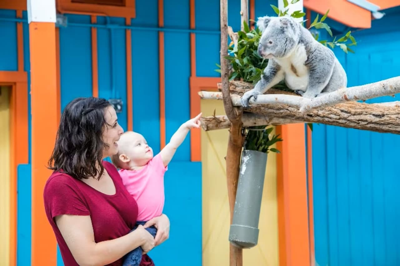 ZooTampa at Lowry Park Ticket - სურათი 3