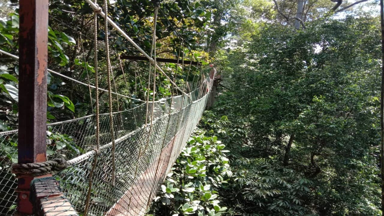 Taman Negara National Park Tour from Kuala Lumpur - სურათი 4