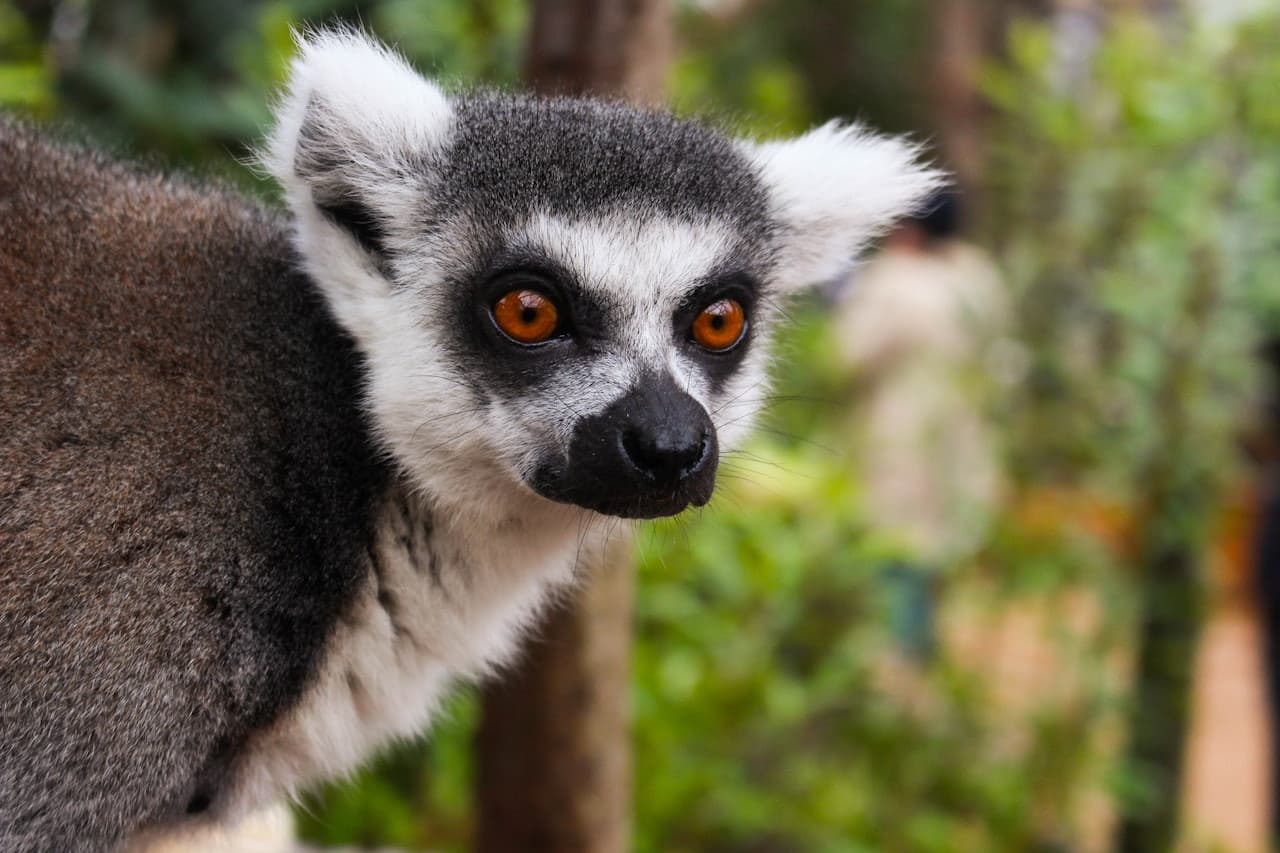 London Zoo - სურათი 3