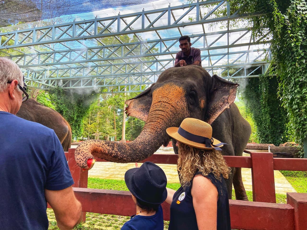 Batu Caves and Kuala Gandah Elephant Sanctuary Full-Day Tour from Kuala Lumpur - სურათი 7