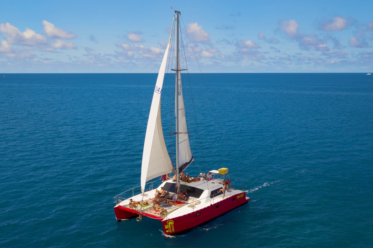 Tongarra Day Sailing Tour - სურათი 15