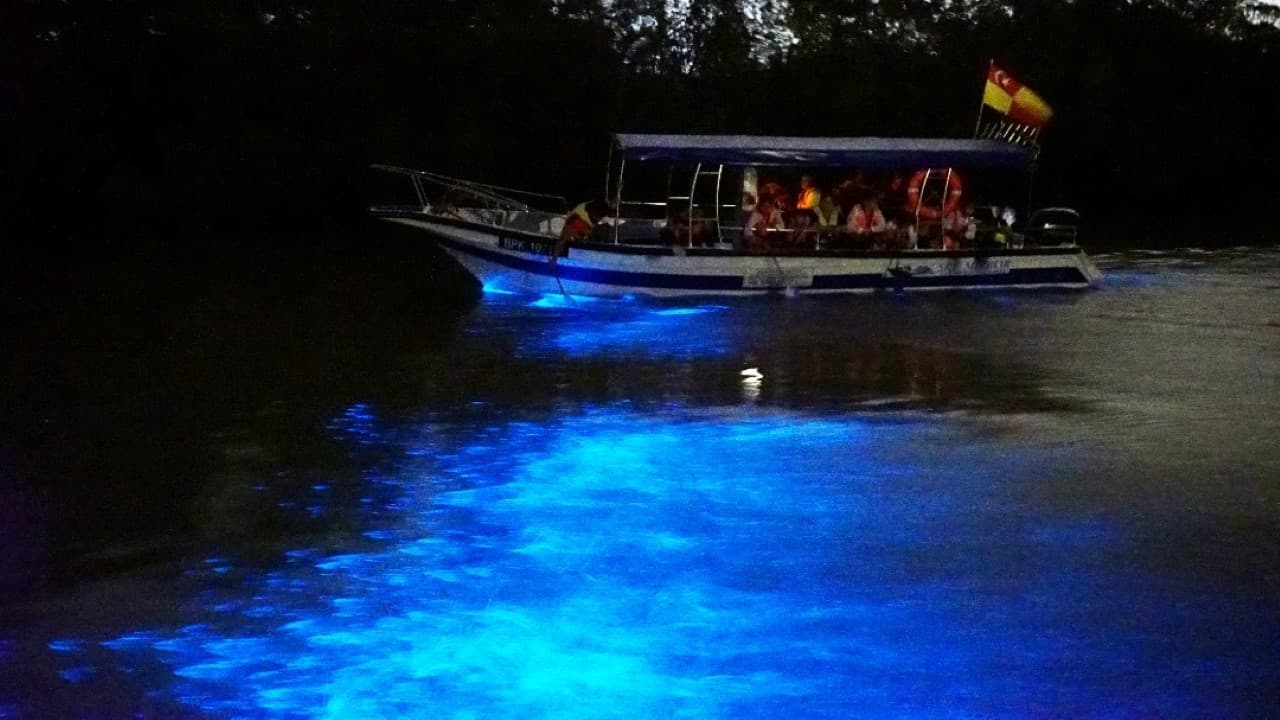 Blue Tears Boat Cruise in Kuala Selangor - სურათი 2