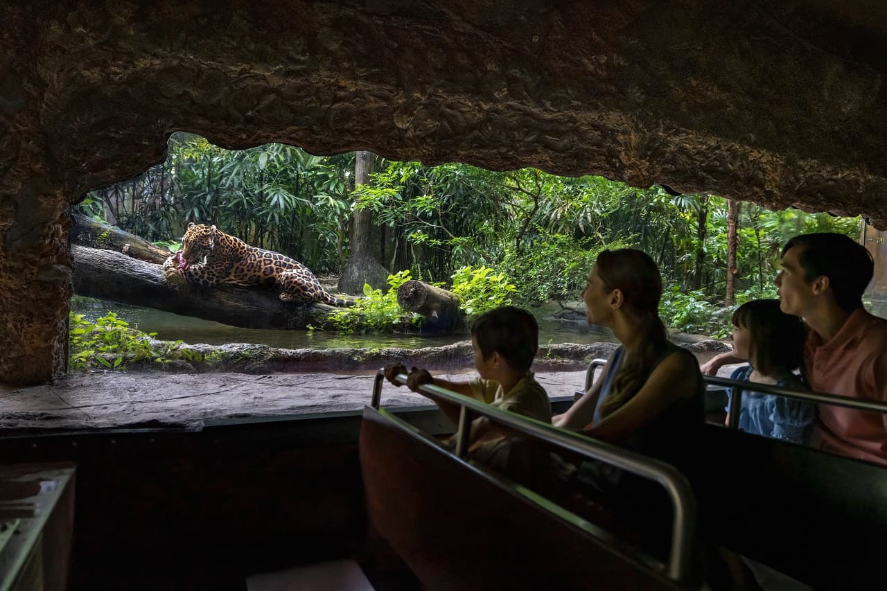 COMBO: Singapore Zoo + River Wonders Ticket - სურათი 13