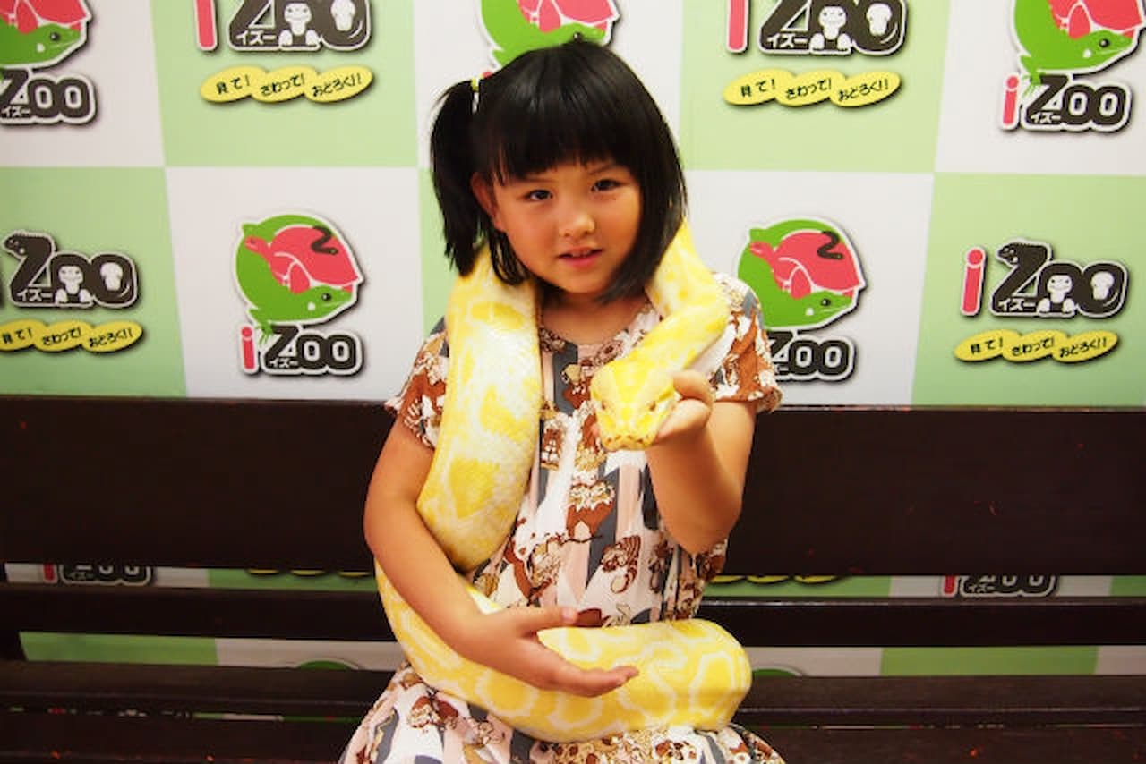 iZoo Sensory Zoo Ticket - სურათი 6