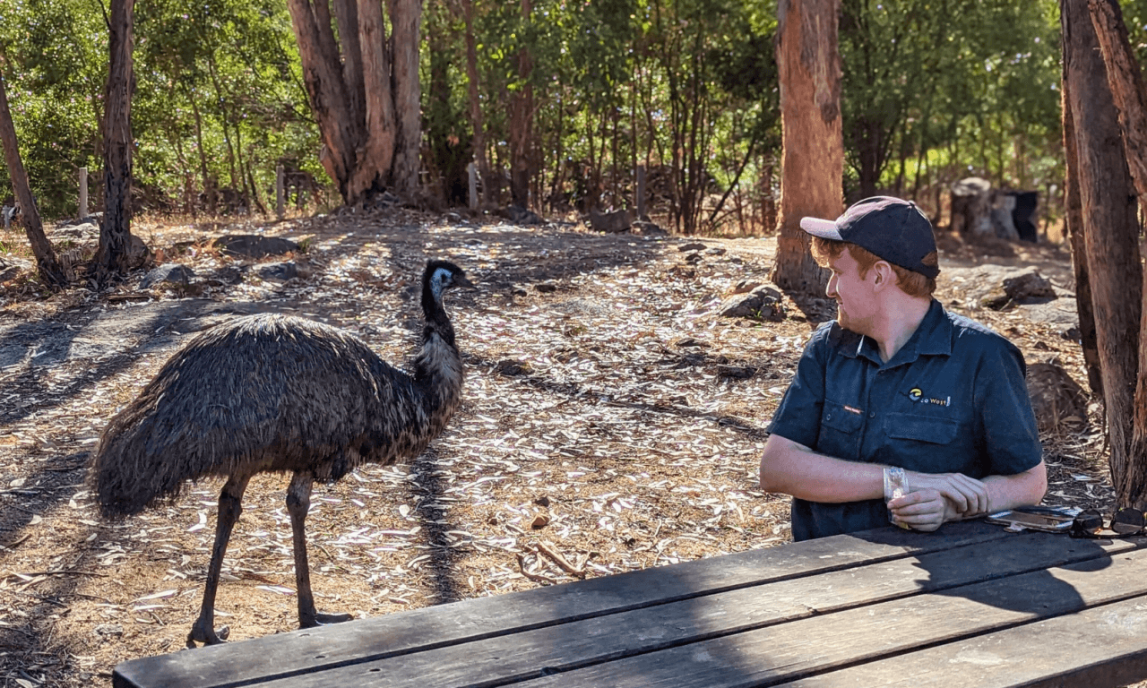 Grampians National Park Day Tour from Melbourne - სურათი 10
