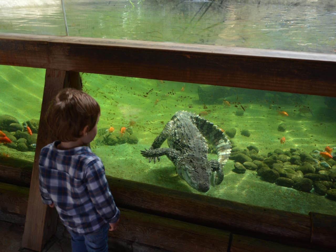 Terra Natura Benidorm: Entry Ticket - სურათი 4