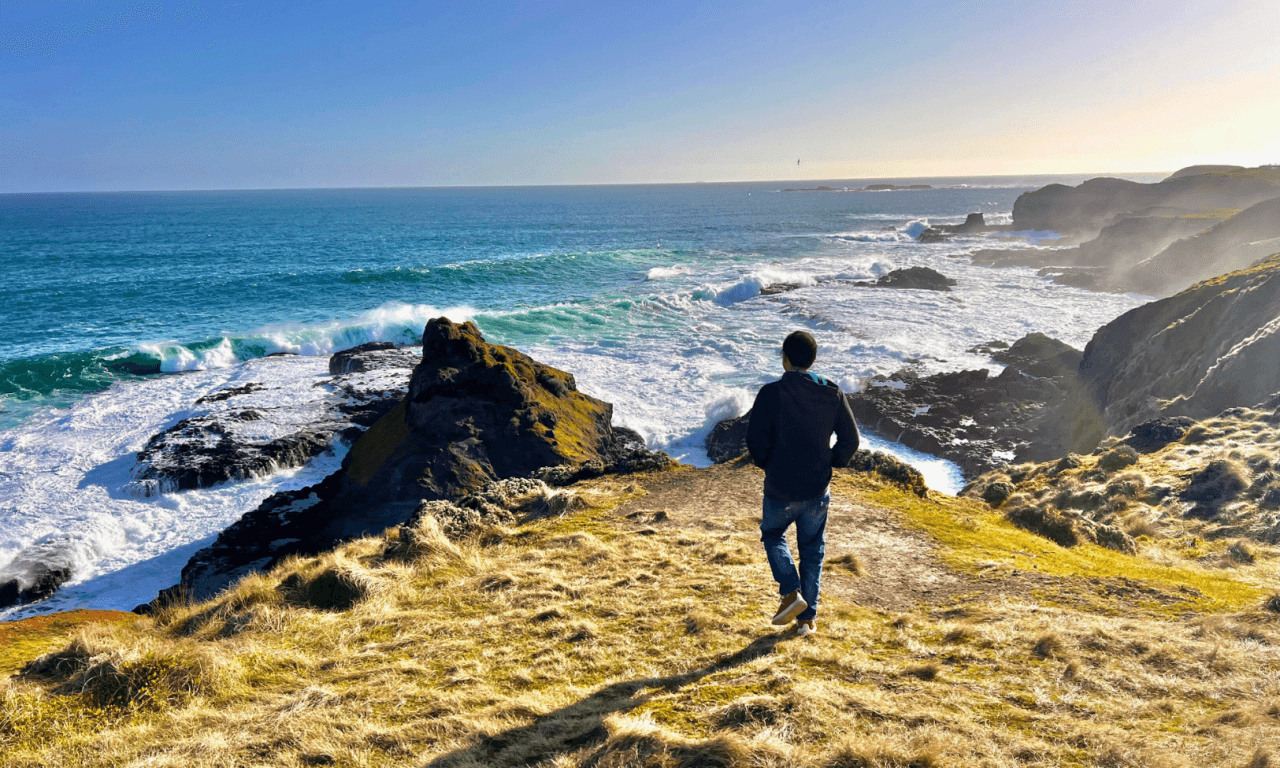 Penguins Express Tour from Melbourne - სურათი 12