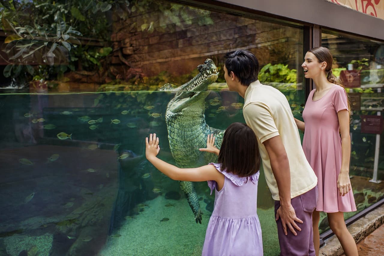 5-in-1 Day Pass: Night Safari + Singapore Zoo + Bird Paradise + River Wonders + Rainforest Adventure - სურათი 6