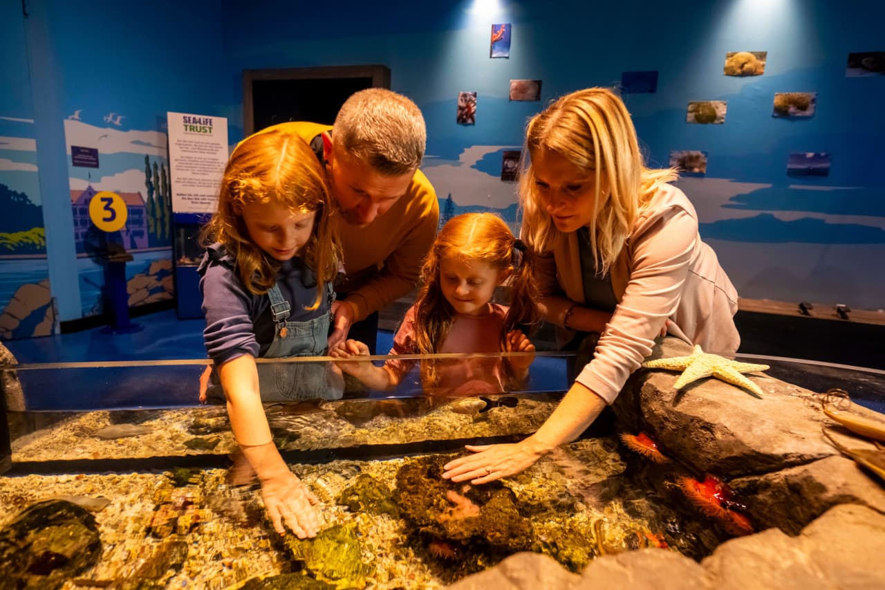 SEA LIFE Konstanz Aquarium Ticket - სურათი 3