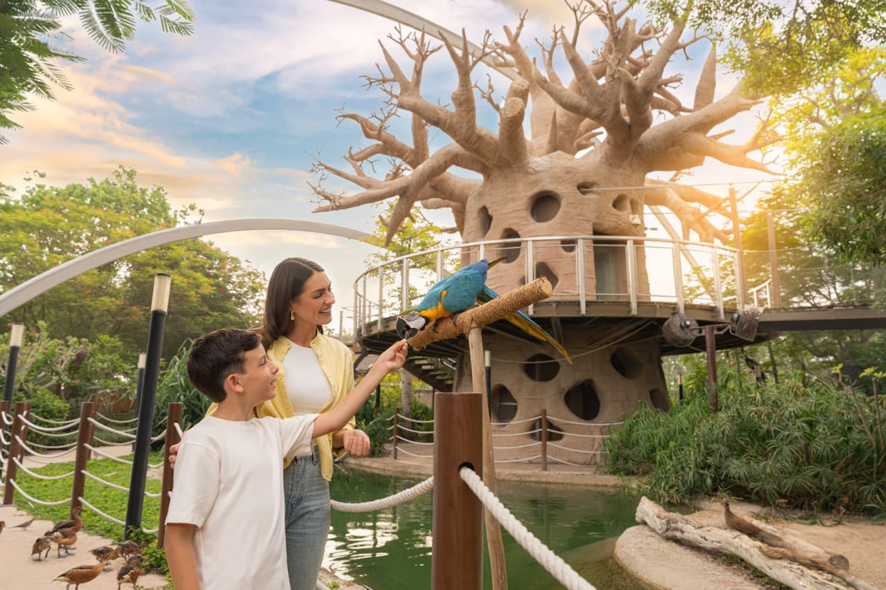 Dubai Safari Park Ticket - სურათი 12