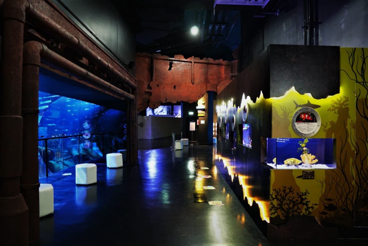 Aquaria Phuket - სურათი 8