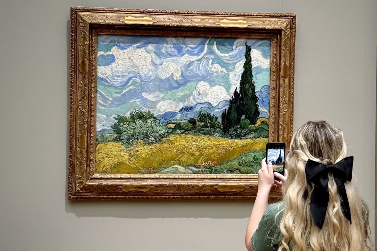 NYC Metropolitan Museum of Art: Guided or Self-Guided Tour - სურათი 12