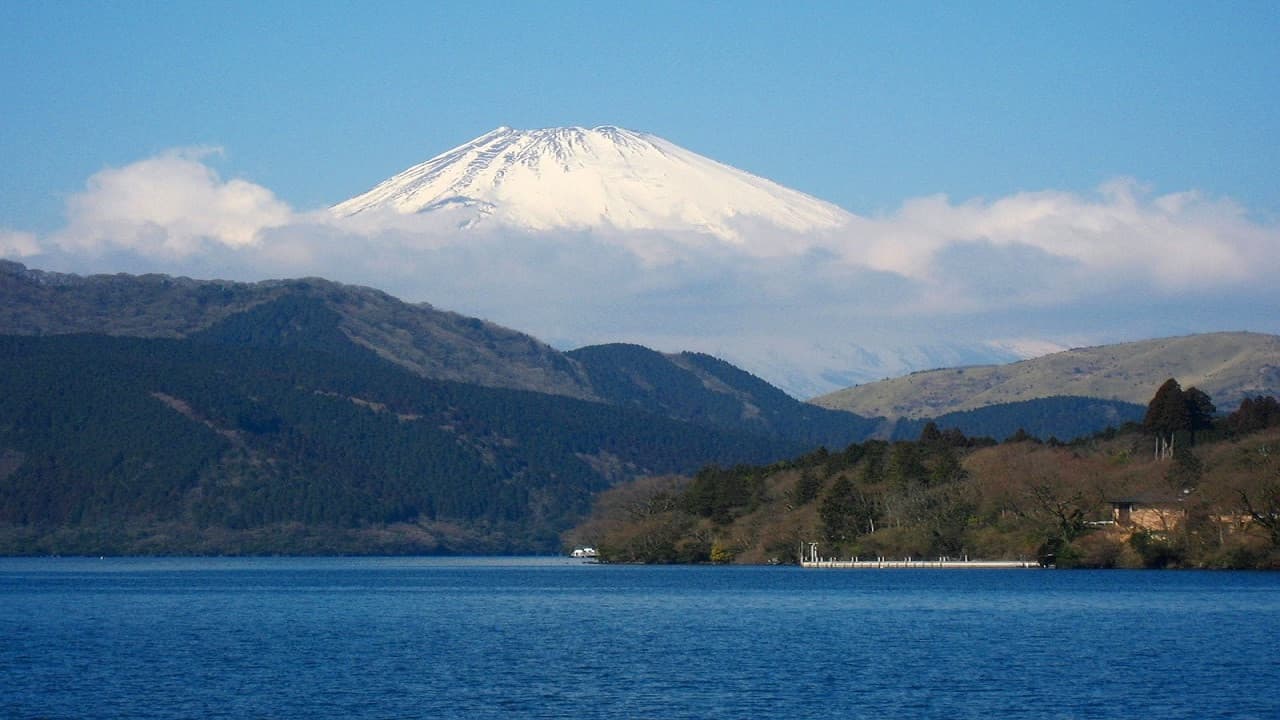Mount Fuji and Hakone Tour - სურათი 3