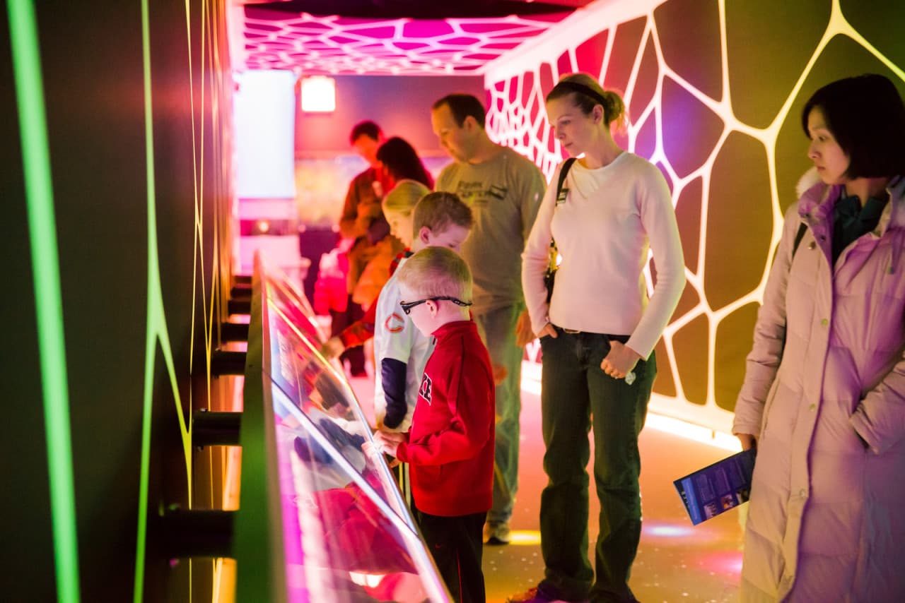 Go City Chicago All-Inclusive Pass: Save up to 50% on Attractions - სურათი 31