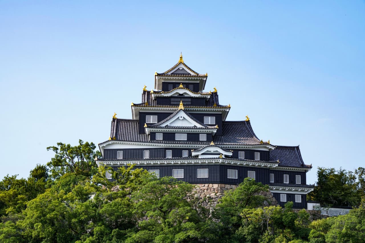 Okayama Castle Ticket - სურათი 4