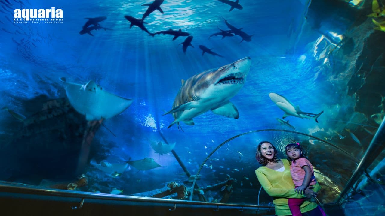 Aquaria KLCC Ticket - მთავარი სურათი