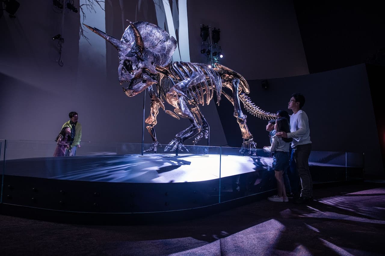Melbourne Museum - მთავარი სურათი